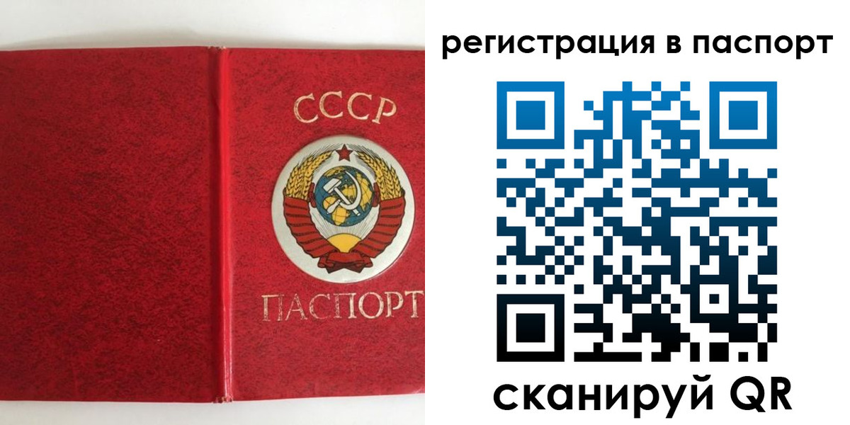 временная регистрация госуслуги в Мончегорске