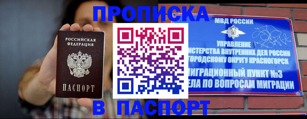 прописка в квартире в Мончегорске